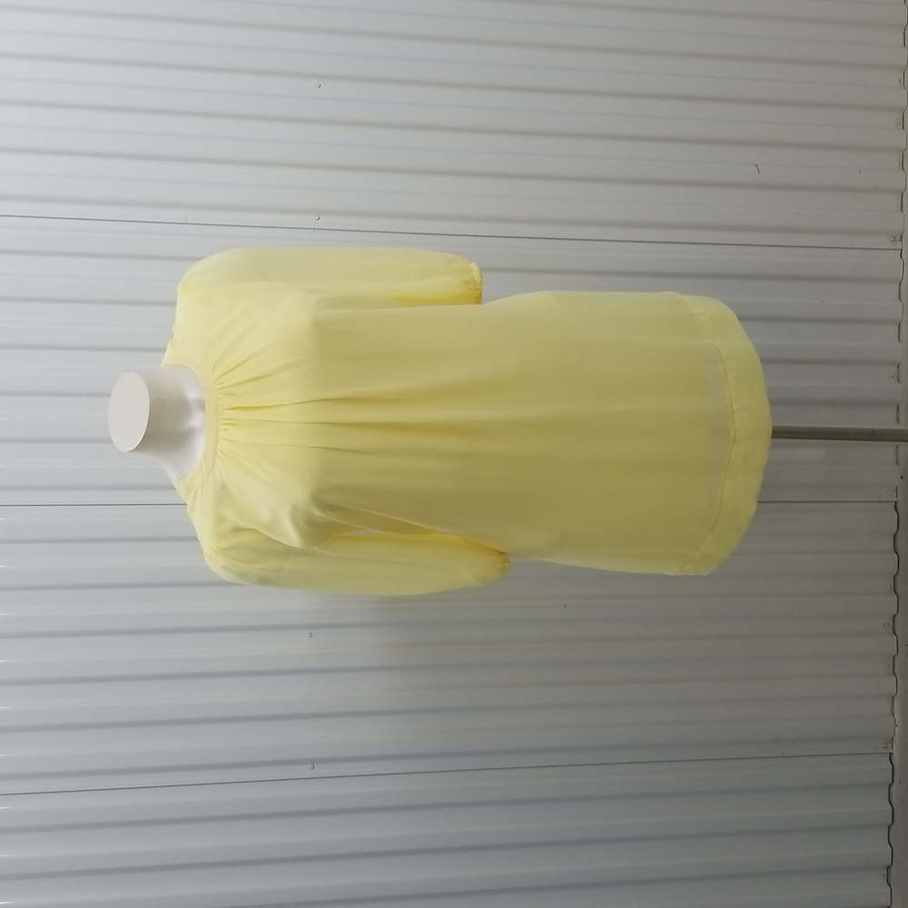 Yellow Eva Mendes Sheer lined long sleeved Dress